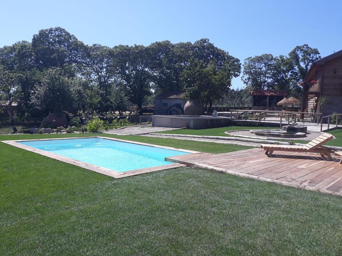 Апартаменты Quinta Ze Do Coval Арока Экстерьер фото